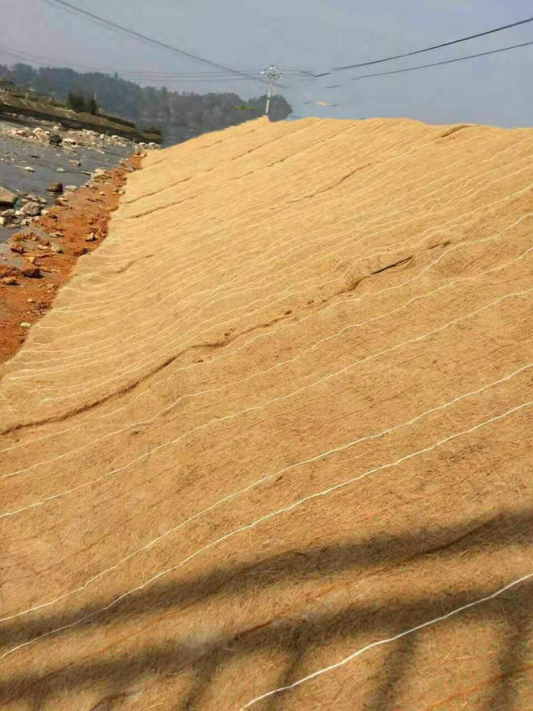 乌海椰丝抗冲刷毯多少钱一平方