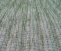 临汾椰丝植物纤维毯怎么联系