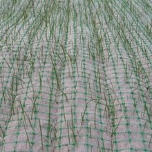 漯河椰絲植物纖維毯加工定制實業公司圖片