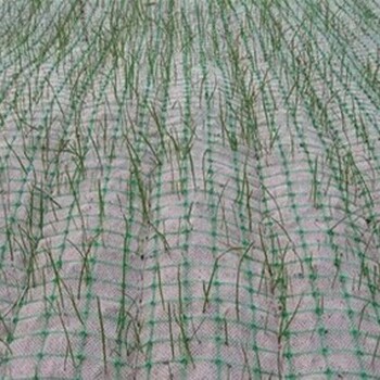 达州植物纤维毯公司