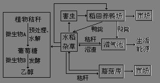 中宁县写做可研可研报告能通过