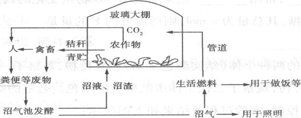 注意凤城市做标书投标书可行性研究报告