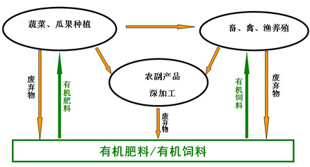 撰写繁昌县写实施方案做可行报告的