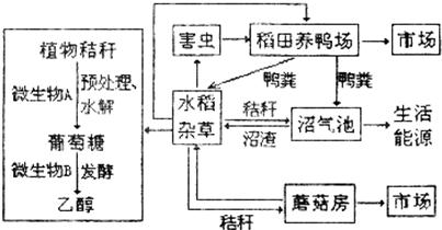 青龙县写可行性报告的公司价位合理可行