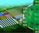 黄平县写标书公司-报告编写服务机构