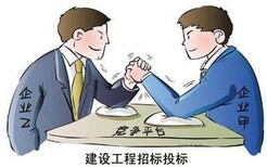 广饶县可行性报告公司-可行性报告图片5