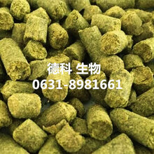 美国卡斯卡特酒花,进口酒花,卡斯卡特酒花图片