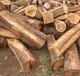 广州木材进口单证资料