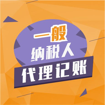 一般纳税人审批、纳税申报、商标注册