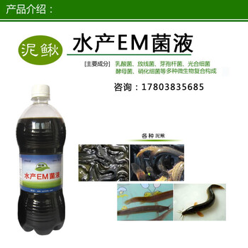 利用微生物em菌改善泥鰍池水質(zhì)環(huán)境