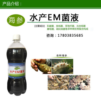 海參水池硝酸鹽過(guò)高用什么快速降低