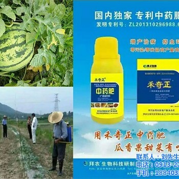 禾奇正葉面肥用在西瓜上的效果