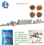 广东清远JKH鱼饲料膨化机大米吸管生产线设备厂家价格图片2
