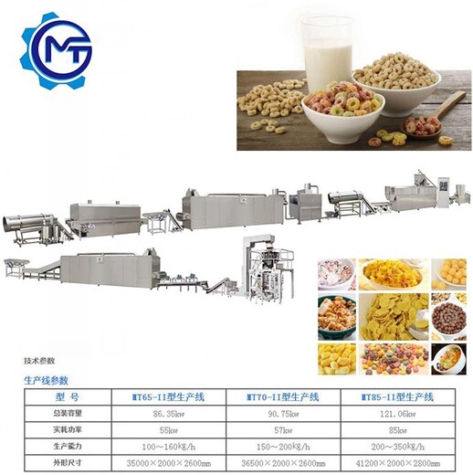 意文干吃玉米片干吃谷物麦片生产线厂家