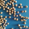 泰安市生物菌肥双螺杆挤压造粒设备70型再生大米生产线厂家
