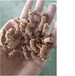 清道麸燕麦小麦麸皮粉生产设备杂粮豆类谷物粉膨化机厂家
