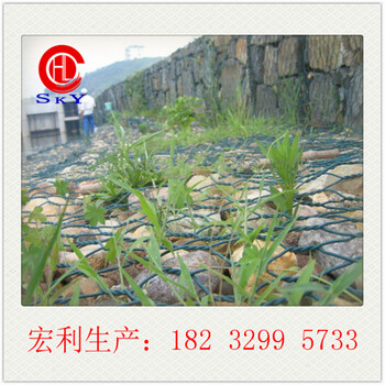 宏利?格賓石籠網(wǎng)廠家供應(yīng)邕江兩岸整治防護(hù)格賓網(wǎng)籠、鍍鋅格賓籠