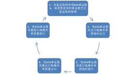 冷冻海鲜进口代理报关公司图片2