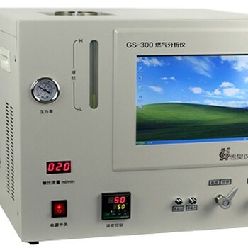 GS-300天然气分析仪、LNG热值分析仪、天然气热值检测仪