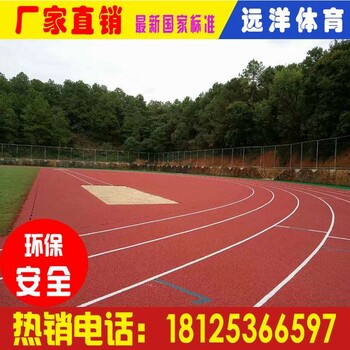 广西来宾混合型自结纹塑胶跑道施工来宾标准13mm塑胶跑道造价塑胶跑道造价