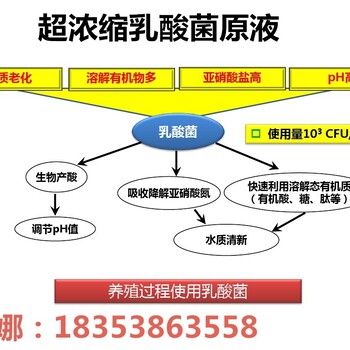 水产养殖配方——水溶性枯草