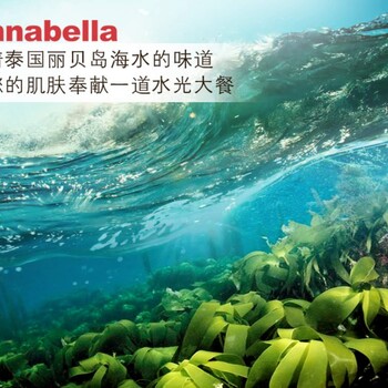 为什么要选泰国ANNABELLA小海藻面膜