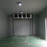 內(nèi)江凍庫/內(nèi)江冷凍庫價(jià)格/內(nèi)江冷庫安裝/內(nèi)江冷凍庫設(shè)備/內(nèi)江冷凍庫服務(wù)網(wǎng)點(diǎn)