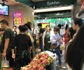 果缤纷水果连锁店全国招商加盟加盟优质选择