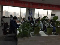 淘宝天猫网店代运营/运营推广策划/内容营销铸淘科技图片2