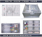 国网新标准塑胶电表箱塑料壳模具