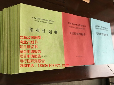 共享经济立项报告√澳门立项、可研单位能做