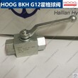 HOOGBKHG1213霍格高压球阀系列原装正品进口图片