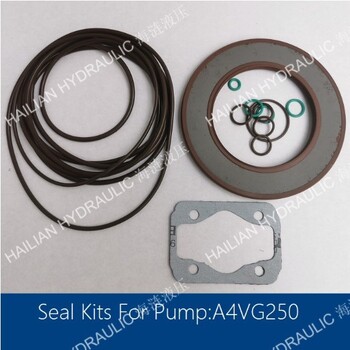 SealKitsForPumpA4VG250油泵密封修理包