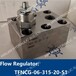 FlowRegulatorTFNCG-06-315-20-S1溢流阀