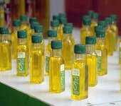 深圳进口橄榄油办理自动进口许可证/深圳进口清关代理
