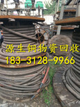 西藏自治日喀则康马县电缆回收图片4