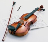 初学小提琴应买哪种，推荐红棉小提琴