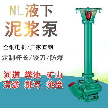 NL系列污水泥浆泵煤矿排水排污泵厂家供应无堵塞铸铁泥浆泵