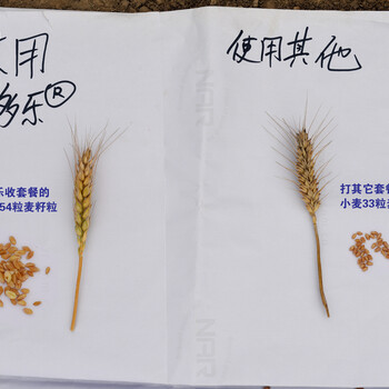 增產(chǎn)套餐效果好蕓多樂增產(chǎn)套餐