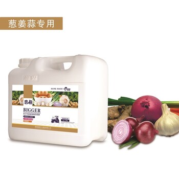 大姜高产冲施肥厂家碧格进口有机蛋白液肥葱姜蒜