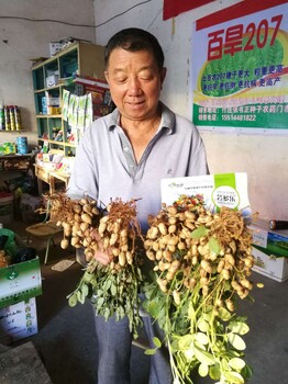 花生套餐芸多乐花生三遍药高产套餐出厂价格