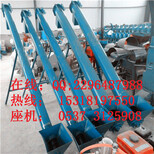 广东梅州304不锈钢螺旋提升机工作原理技术图片4
