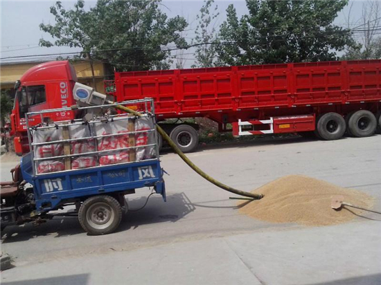 湖北咸宁20吨玉米入仓气力吸粮机安装视频