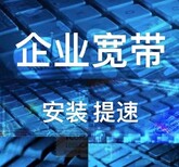 联通/电信/移动企业专线宽带,于洪电信企业宽带安装图片1