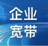 浑南开发区带IP网线联通/电信/移动企业光纤,专线宽带