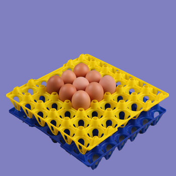 厂家30枚商品蛋蛋托塑料蛋托鸡蛋蛋托