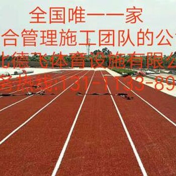 吉林省通化市全塑型塑胶跑道《施工公司》《有限公司欢迎光临》