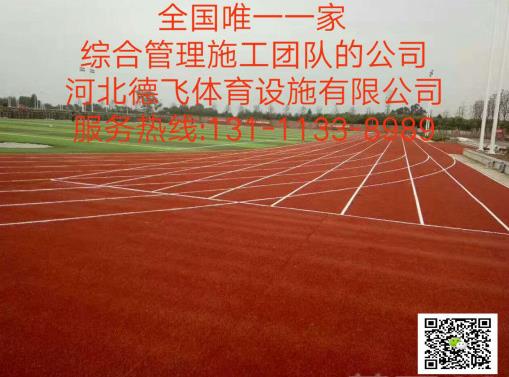 吉林省通化市全塑型塑胶跑道《施工公司》《有限公司欢迎光临》