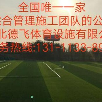 吴忠400米塑胶跑道球场围网灯光安装造价