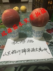 中秋节上市的黄桃子